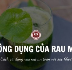 Uống rau má mỗi ngày có tốt không? Tác dụng của rau má với sức khỏe